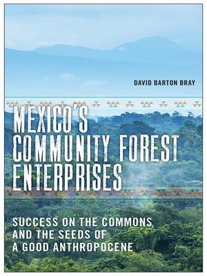 cover image of Mexico's Community Forest Enterprises